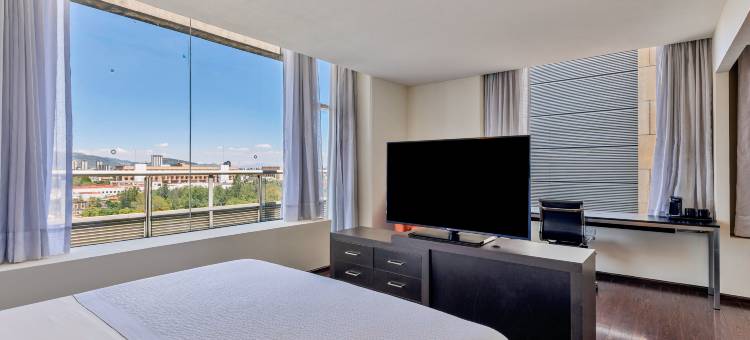 历史中心嘉年华旅馆(Fiesta Inn Centro Historico)图片