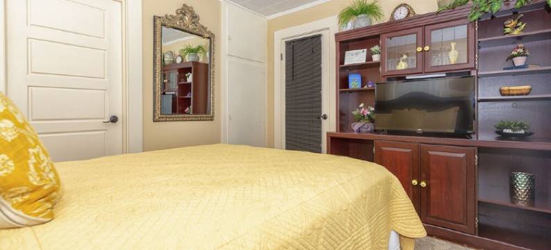 2 bedroom downstairs The Henry House and Queen pull out sofa图片