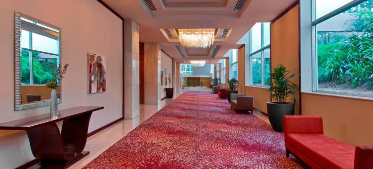 圣地亚哥喜来登会议中心酒店(Sheraton Santiago Hotel and Convention Center)图片