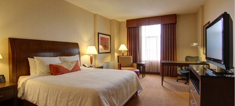 卡尔加里机场希尔顿花园旅馆(Hilton Garden Inn Calgary Airport)图片
