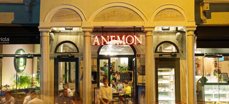 加拉太安蒙酒店(Anemon Koleksiyon Galata Otel)图片