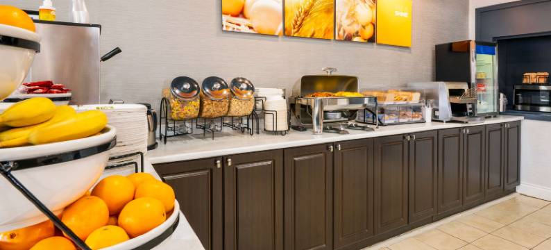 舒适套房酒店(Comfort Hotel & Suites)图片