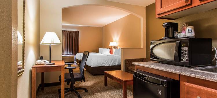 新伊比利亚品质套房酒店(Quality Suites New Iberia)图片