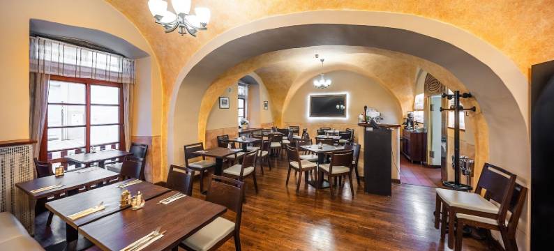 布拉格精英酒店(Hotel Elite Prague)图片