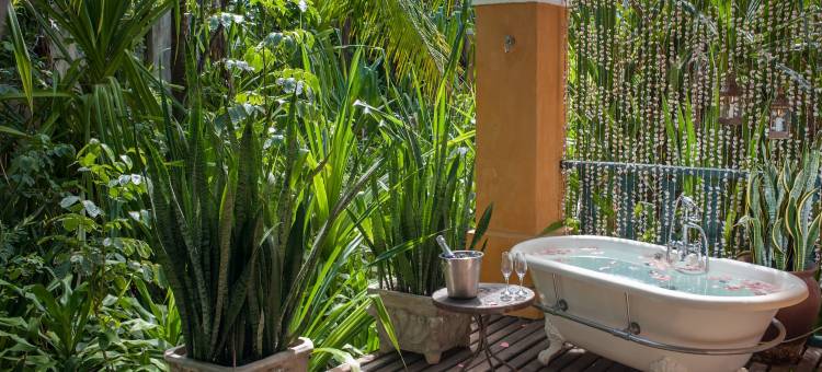 猫头鹰之家酒店(Toca da Coruja)图片