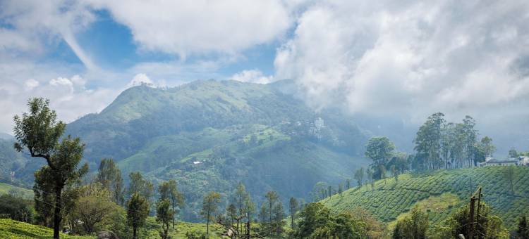 安珀戴尔豪华水疗酒店(Amber Dale Luxury Hotel & Spa, Munnar)图片