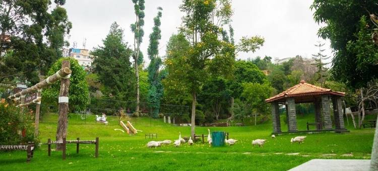 科代国际酒店(Hotel Kodai International)图片