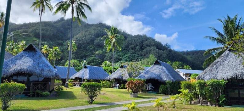 芙蓉酒店(Hotel Hibiscus)图片