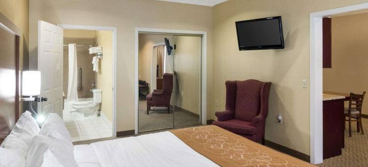 品质套房酒店米德兰北环路250(Quality Suites Midland North Loop 250)图片