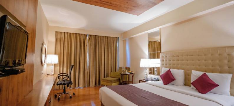 齐普尔中心巴尼公园皇家兰花酒店(Royal Orchid Central Jaipur, Bani Park)图片