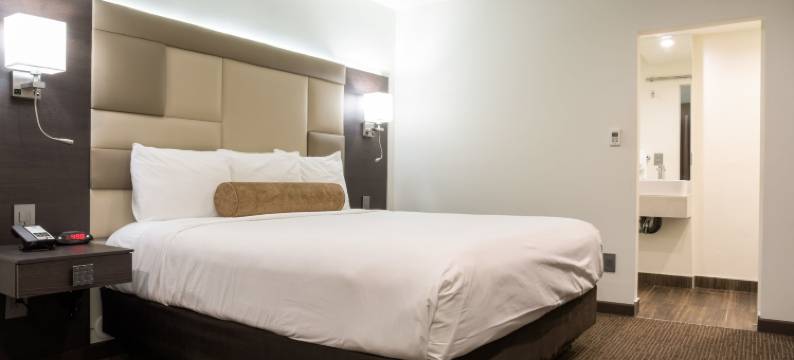 西隆酒店(Hotel Xilo Glendale)图片