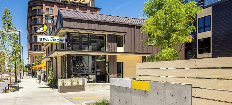 麻雀旅馆(The Sparrow)图片