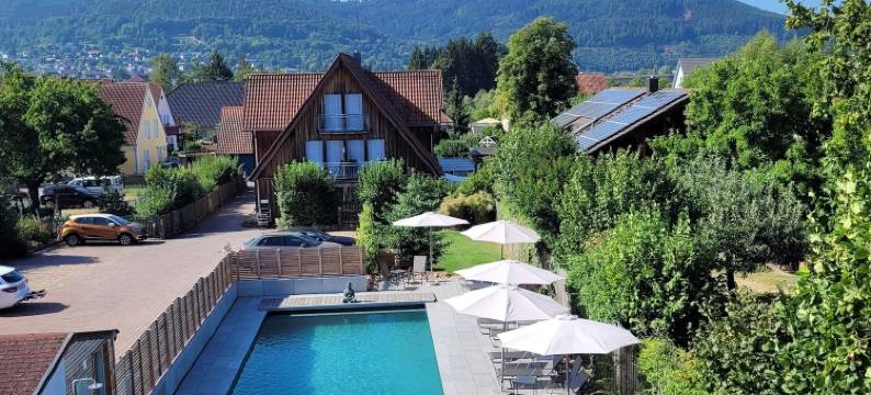 埃德勒酒店(Adler Landhotel)图片