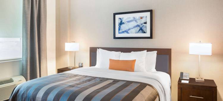 迈阿密机场蔚景温德姆酒店(Wingate by Wyndham Miami Airport)图片