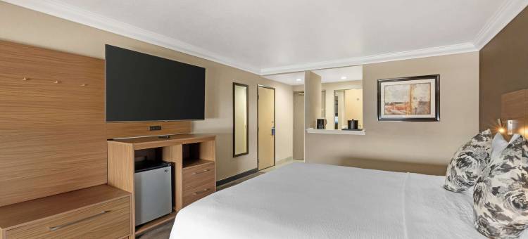 新港梅萨贝斯特韦斯特优质酒店(Best Western Plus Newport Mesa Inn)图片