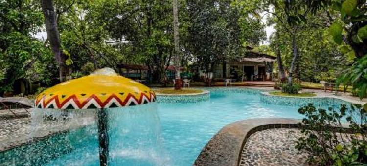 Palette Palghar Irayos 度假村生活休闲胜地(Palette Irayos Resort Kelwa Beach by CheckIn)图片