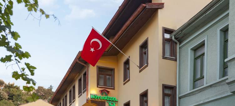 布伊泽尔特莫酒店(Boyuguzel Termal Hotel)图片