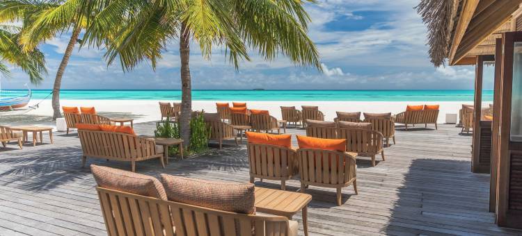 马尔代夫美禄岛度假村(Meeru Maldives Resort Island)图片