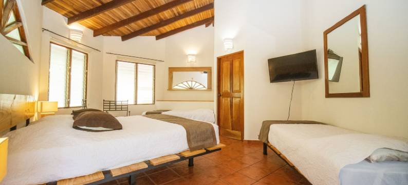 卢娜莱纳酒店(Hotel Luna Llena)图片