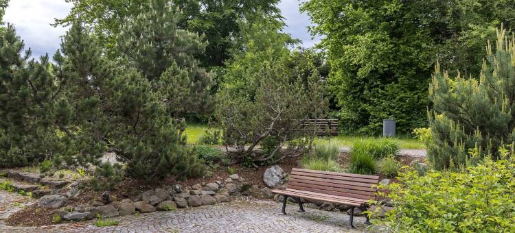 Limehome 博登迈斯 火车站街(Limehome Bodenmais Bahnhofstraße)图片