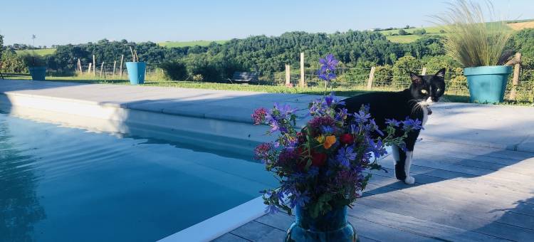 拉普拉塞特阿尔比杰瓦斯(La Placette Albigeoise)图片