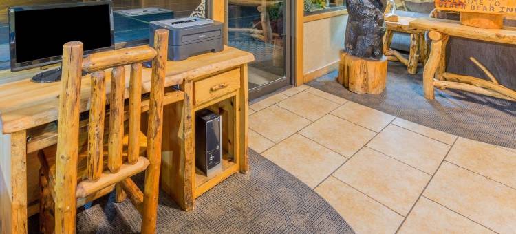 布莱克贝尔温德姆戴斯酒店(Days Inn by Wyndham Black Bear)图片