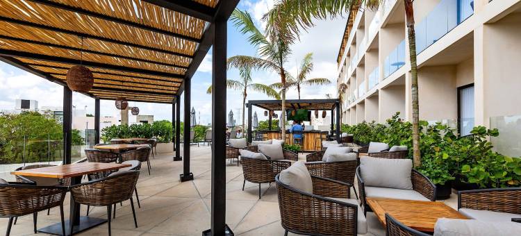 Hive Cancun by G Hotels图片