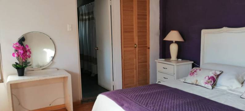 韦纳马尔瓦青年旅舍(Hostal Viña Malva)图片