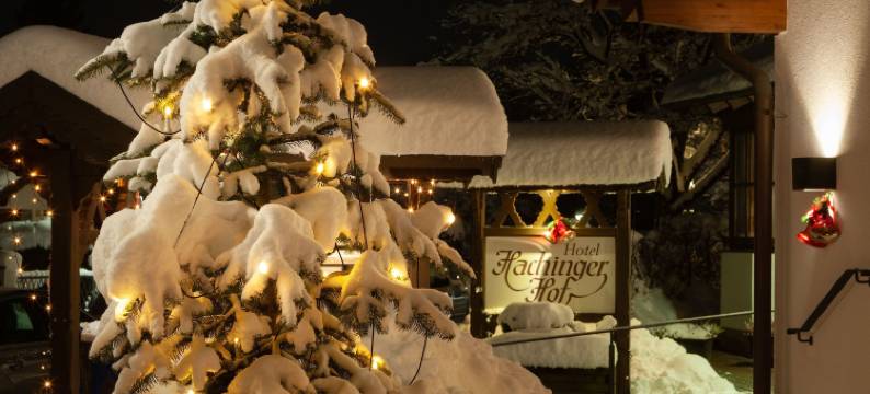 哈钦格霍夫酒店(Hotel Hachinger Hof)图片