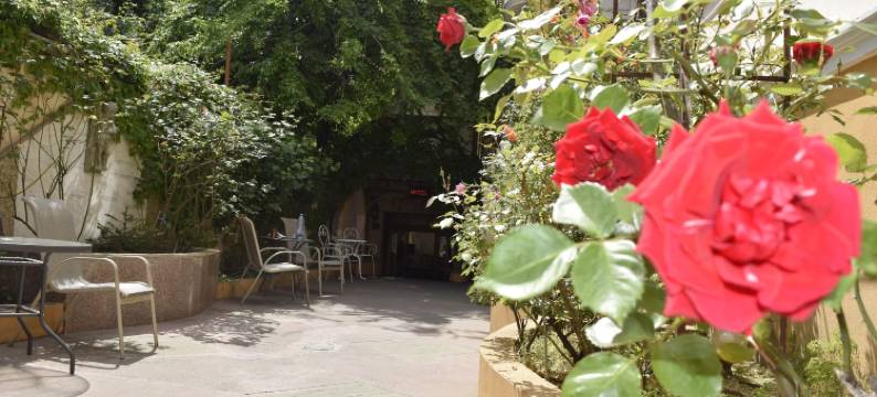 米开朗基罗酒店(Hotel Michelangelo)图片