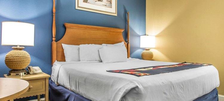 蓝绿度假村港湾之光，Ascend Collection 度假村(Bluegreen Vacations Harbour Lights, an Ascend Collection Resort)图片