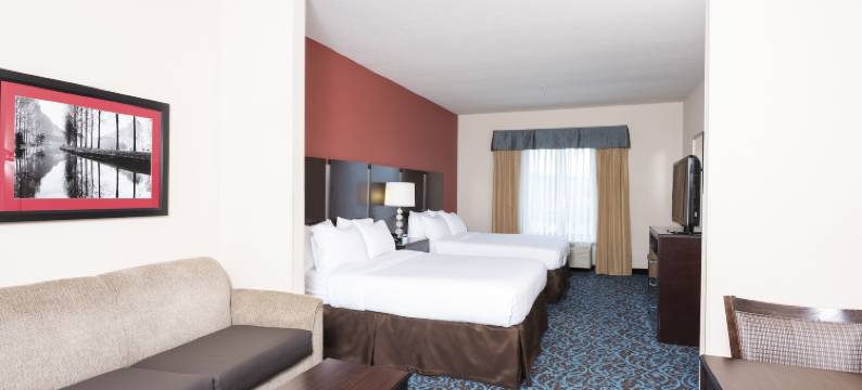 智选假日套房酒店新费城(Holiday Inn Express & Suites NEW PHILADELPHIA by IHG)图片