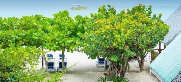 萤火虫海滩小屋(Firefly Beach Cottages)图片