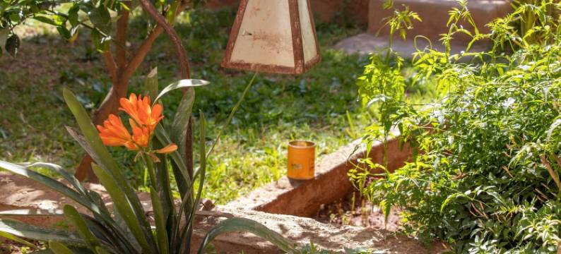 里亚德狄瓦尼酒店(Riad Diwane)图片