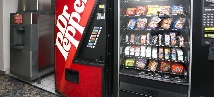 汉普顿速8酒店(Super 8 by Wyndham Hampton)图片