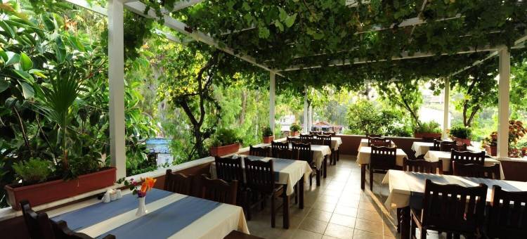 黄金旅馆(Golden Pension)图片