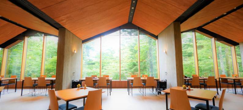 旧轻井泽里贾纳度假村(Regina Resort Kyukaruizawa)图片