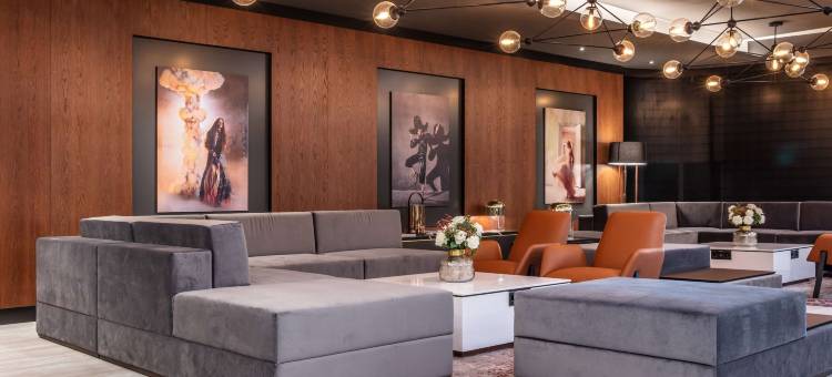 巴塞尔丽笙酒店(Radisson Blu Hotel, Basel)图片