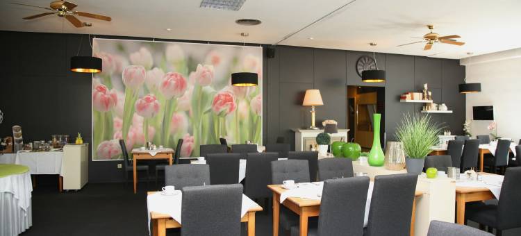 北斗星酒店(Hotel Pflug)图片