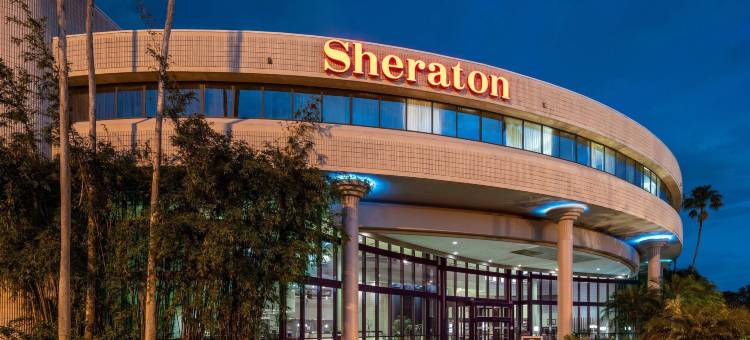 喜来登坦帕布兰登酒店(Sheraton Tampa Brandon Hotel)图片