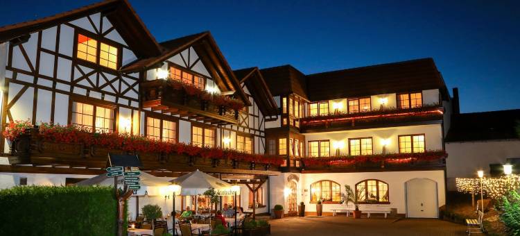 图林根霍夫酒店(Hotel Thüringer Hof)图片