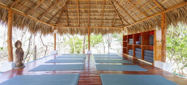 爱罗斯洛斯阿尔托斯精品酒店及 Spa(Los Altos de Eros - Adults Only)图片