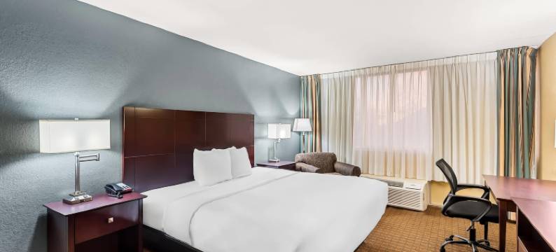 子城市工作室堡道奇(Suburban Studios)图片