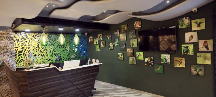 蜂鸟酒店和宴会(Humming Bird Hotel & Banquet)图片