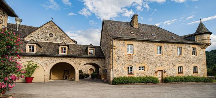 法尔克城堡, 原创联盟(Château de la Falque, the Originals Relais)图片