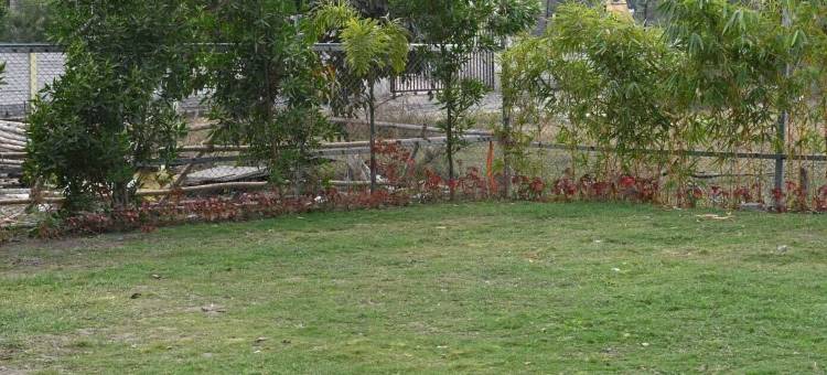 MadStays 昌迪加尔之家波泰尔(The Byke Business - Chandigarh House)图片