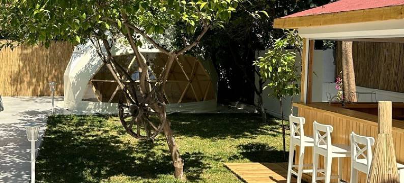 Audo工作室酒店(Audo Studio Hotel)图片