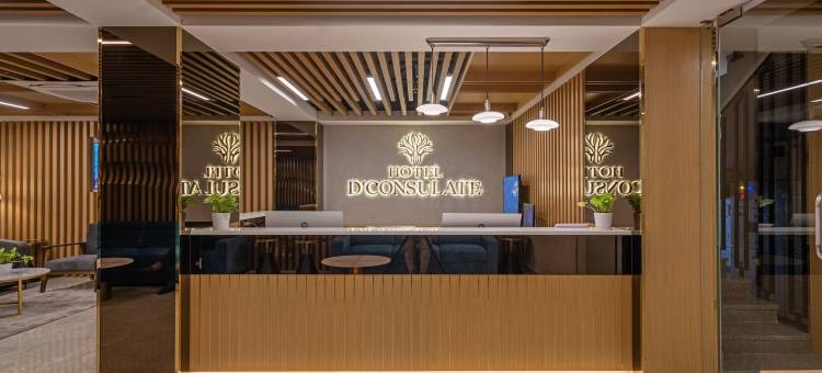 树博高级D领事馆(Treebo Premium D Consulate)图片