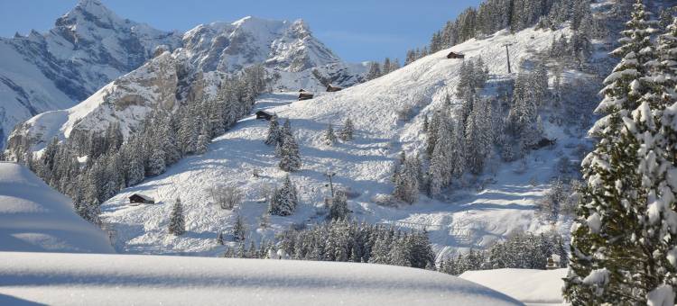 雪绒花高级酒店(Hotel Edelweiss Superior)图片
