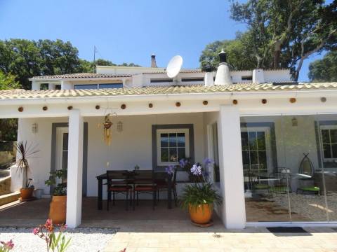In Portugal, Algarve, large villa in Monchique, swimming pool, sauna, Jacuzzi